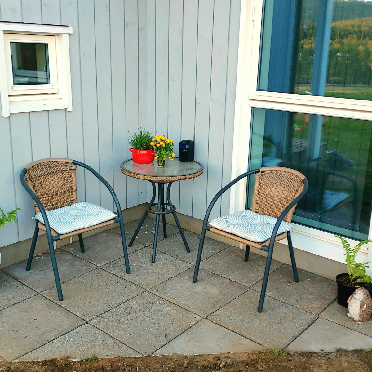 Sittekrok i morgensola